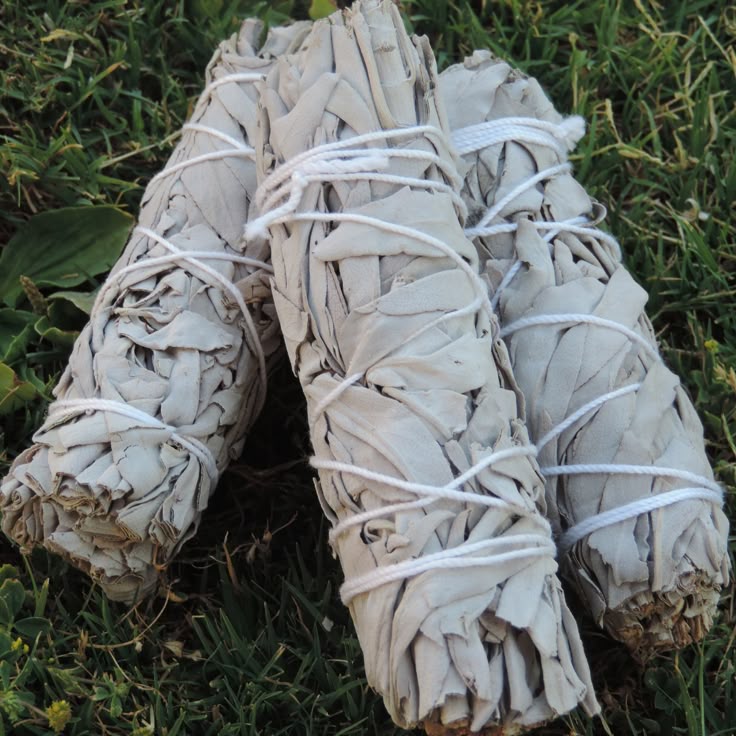 love bundle - sage wand & rose quartz crystal