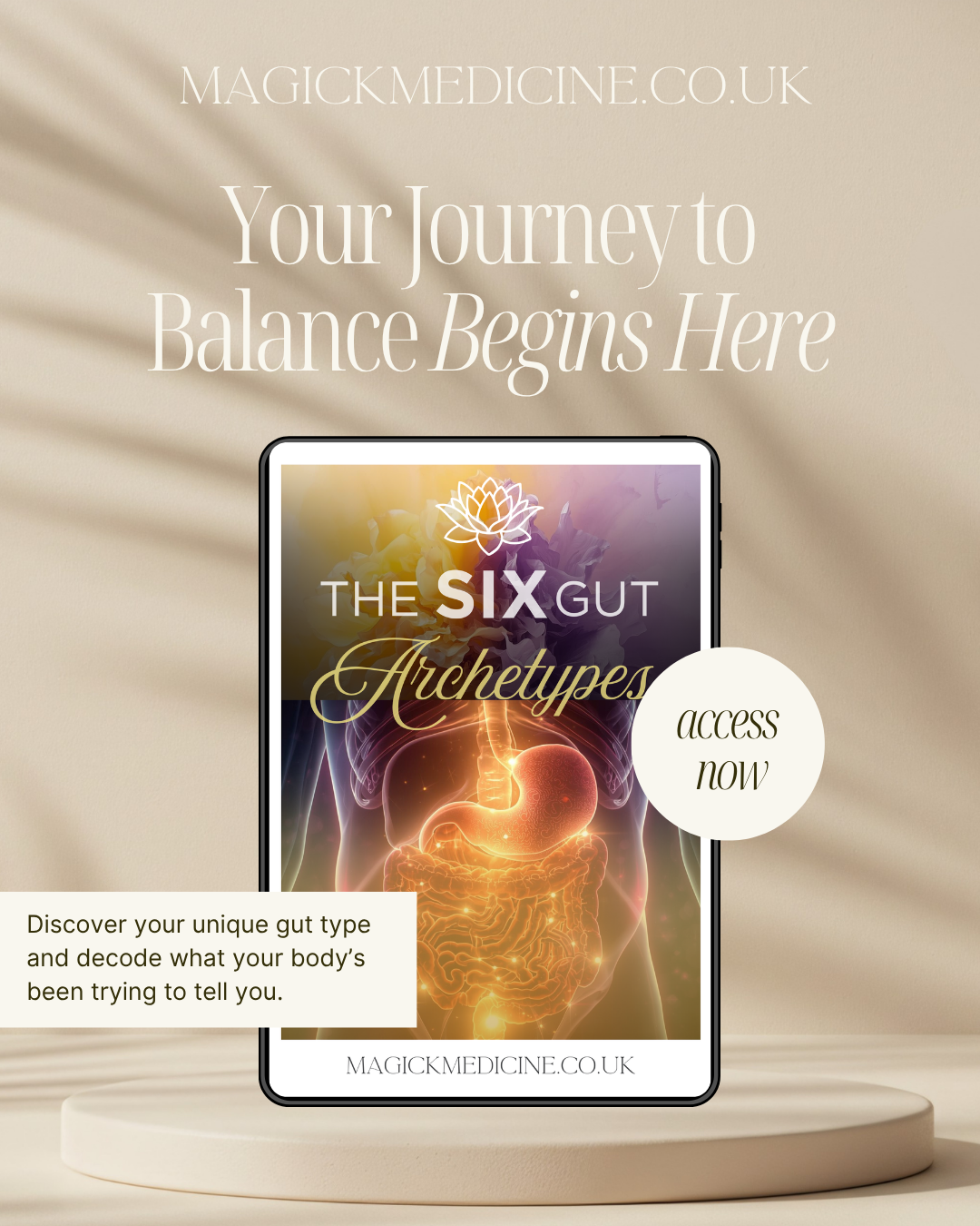 THE SIX GUT ARCHETYPES GUIDE | The Creatrix Starter Kit - Step 2