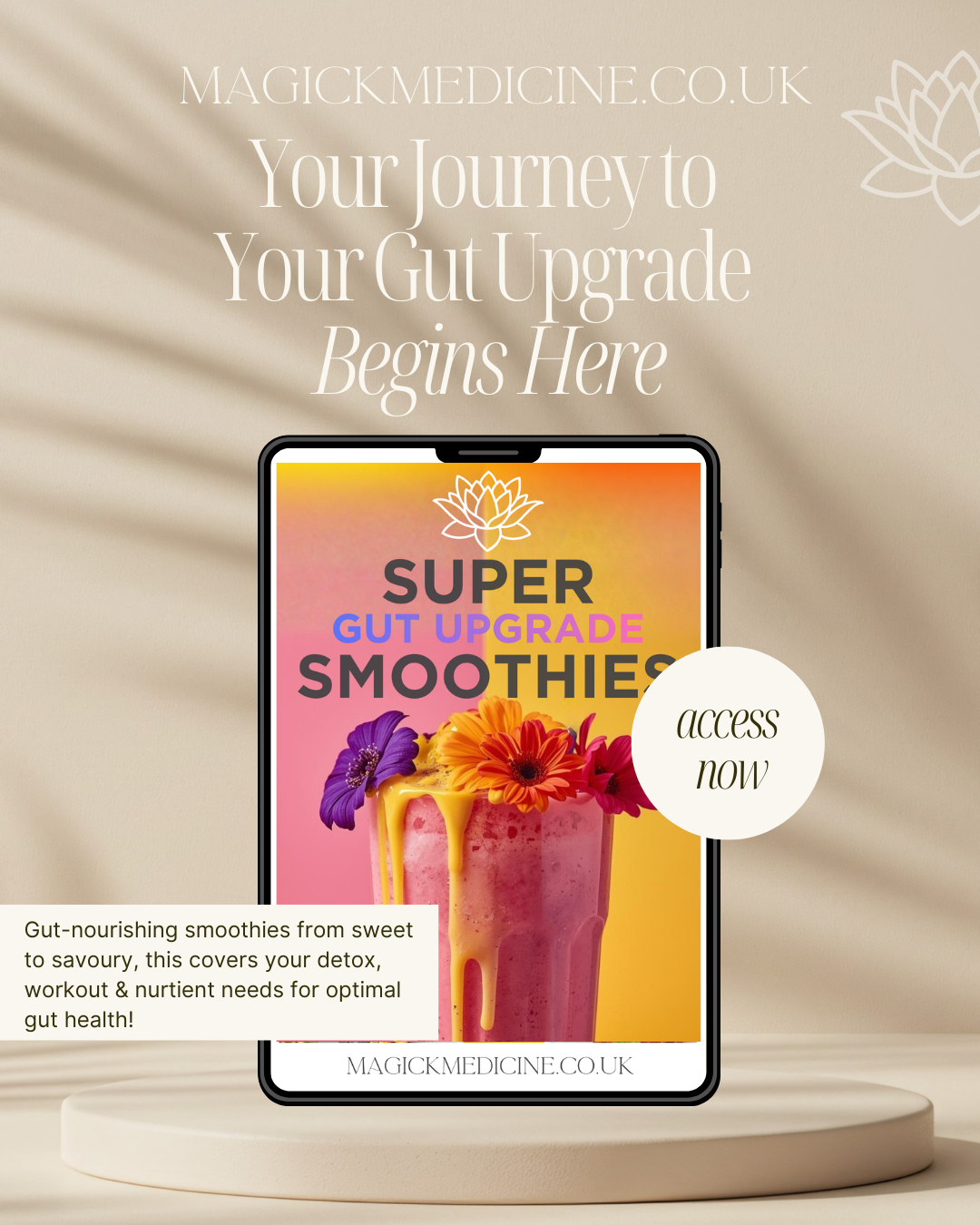 SUPER SMOOTHIES Gut Upgrade Recipe eBook! Level up, Juicing, Active, Workouts, Clean