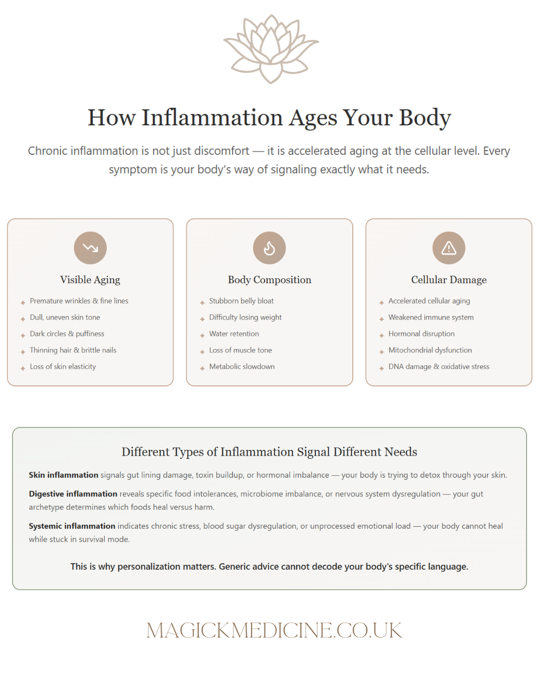 THE ULTIMATE GUT UPGRADE COLLECTION - The Foundational Root for Body & Magnestism