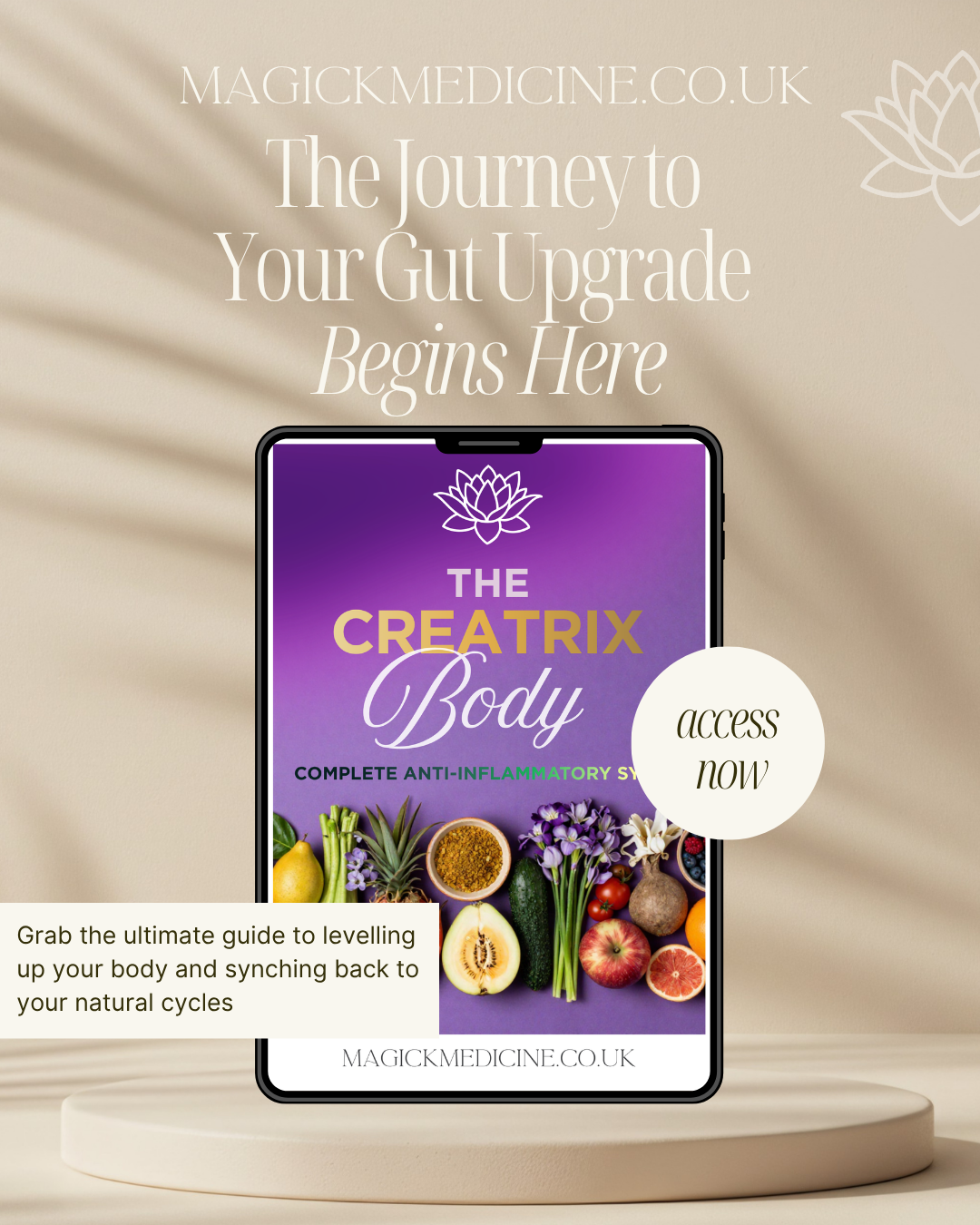THE CREATRIX BODY | The Creatrix Starter Kit Foundation