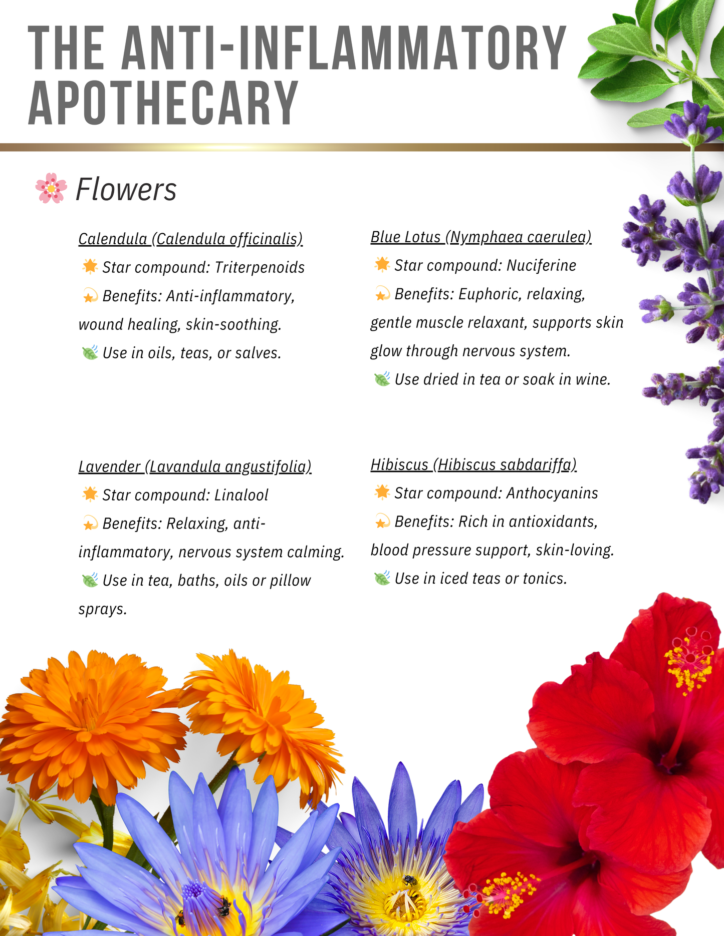 CALM & GLOW Kitchen Guide! Anti-Bloat Foods, Soulful Staples, Grounding Recipes, Real Radiance