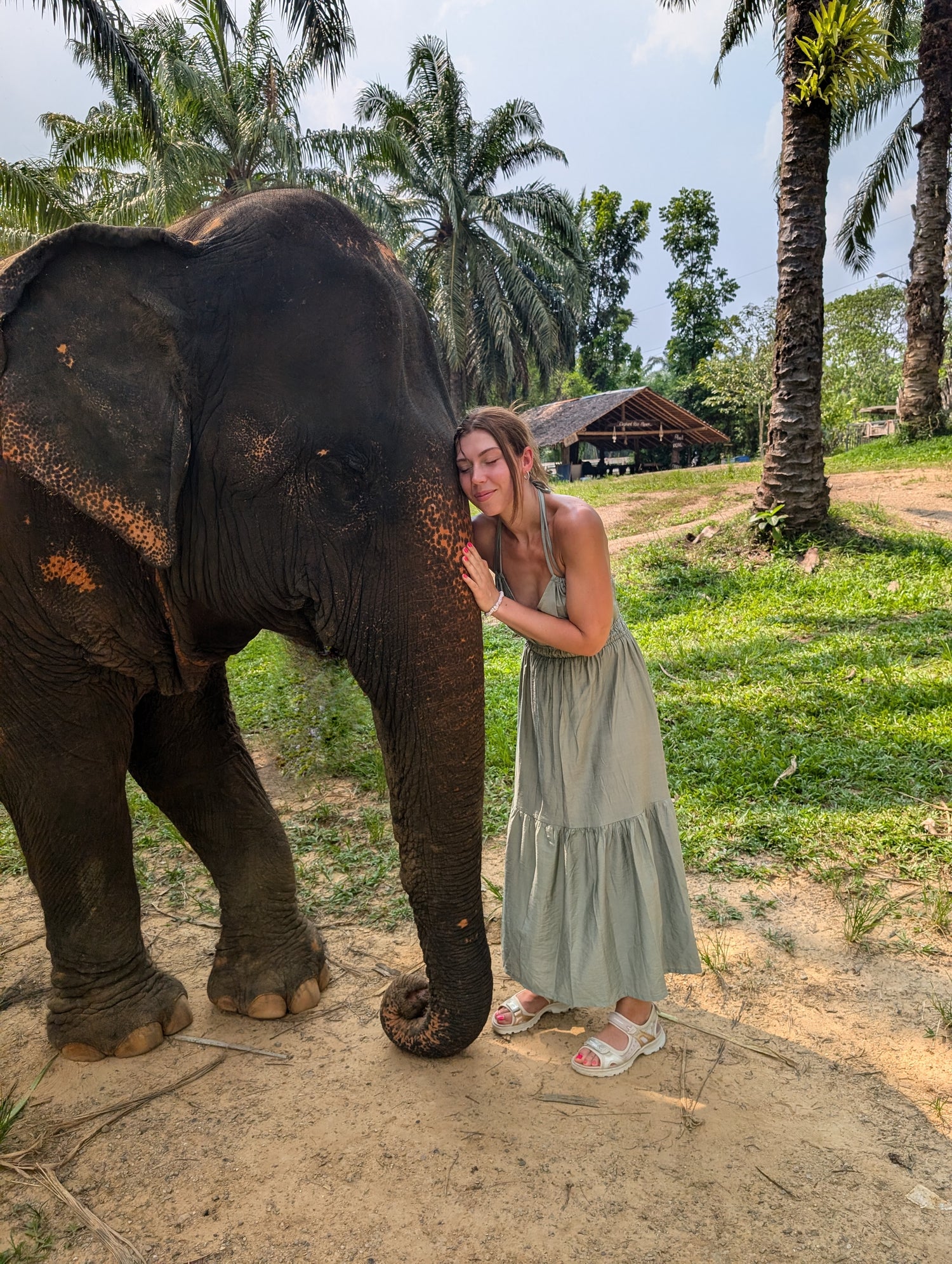 Woman in a dress interacting with an elephant in a natural setting with palm trees.