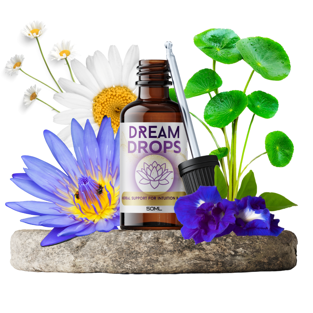 Herbal Tincture DREAM DROPS herbal support with blue lotus, butterfly pea, gotu kola, chamomile