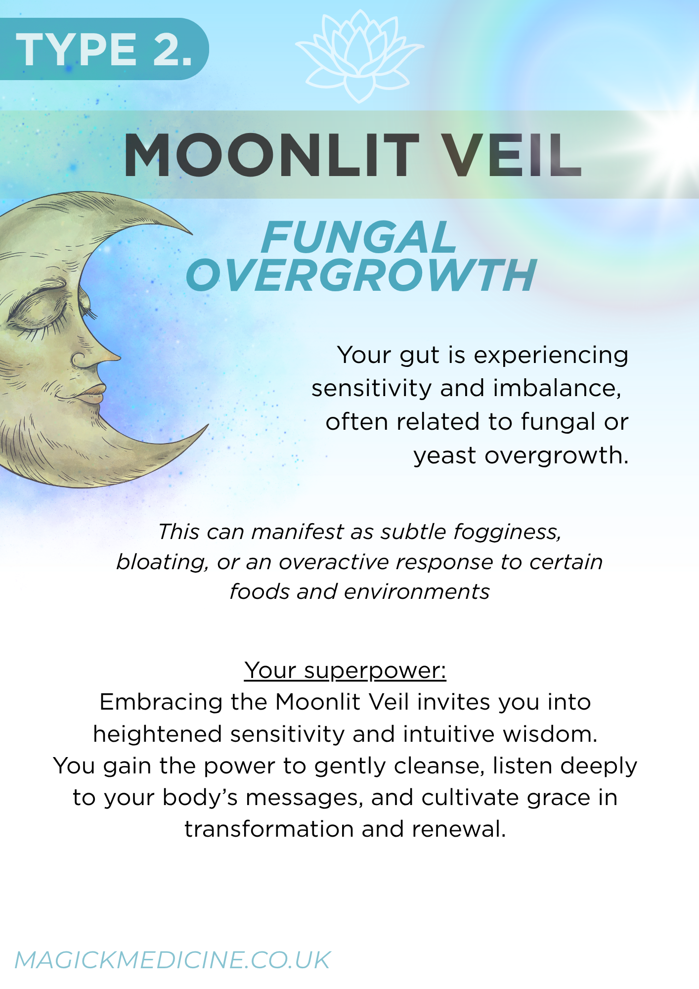 TYPE 2 GUT ARCHETYPES: MOONLIT VEIL CHEAT SHEET - Food Groups & Danger Foods List