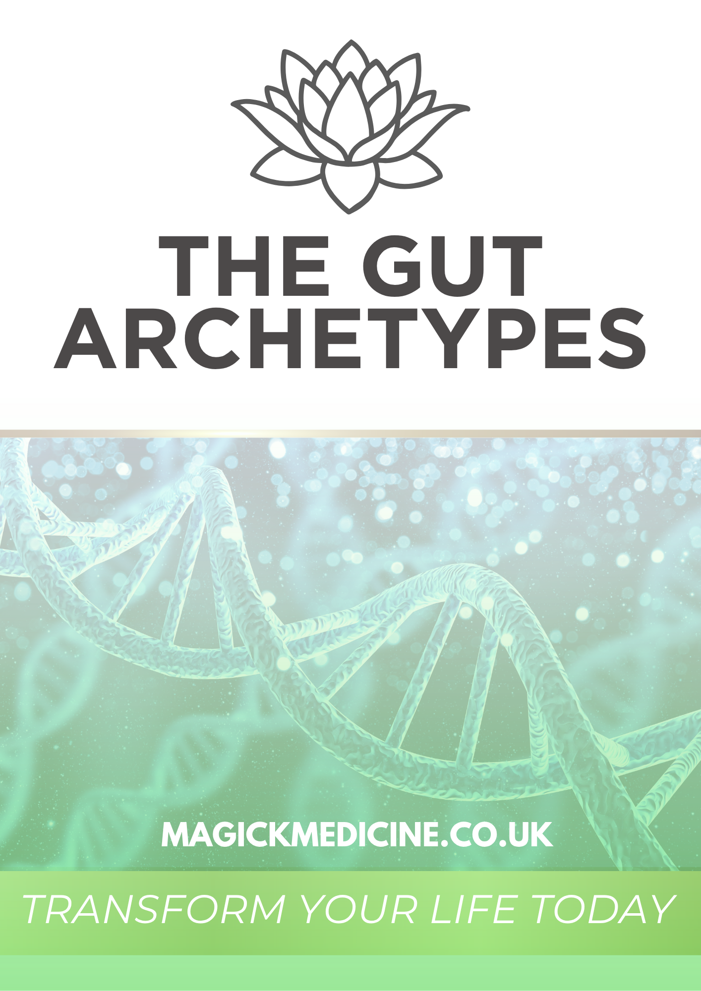 TYPE 1 GUT ARCHETYPES: SOLAR FLAME CORE CHEAT SHEET - Food Groups & Danger Foods List