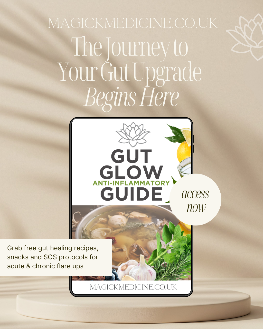 GUT GLOW GUIDE! Anti-Bloat Foods, Soulful Staples, Grounding Recipes, Real Radiance