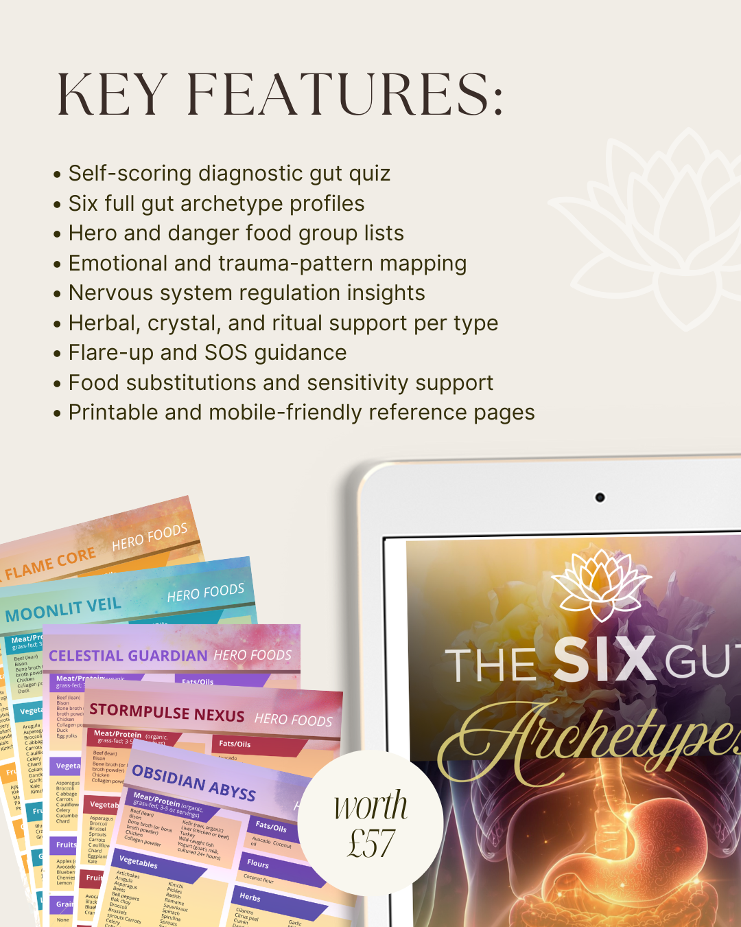 THE ULTIMATE GUT UPGRADE COLLECTION - The Foundational Root for Body & Magnestism