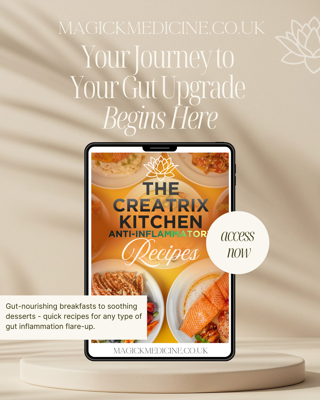 THE CREATRIX KITCHEN | The Creatrix Starter Kit - Step 3