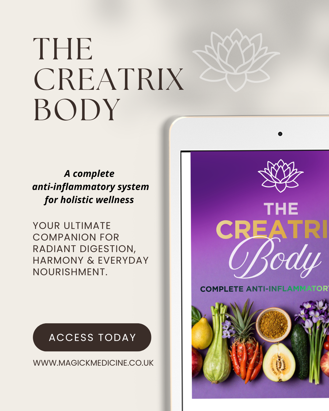 THE CREATRIX BODY | The Creatrix Starter Kit Foundation