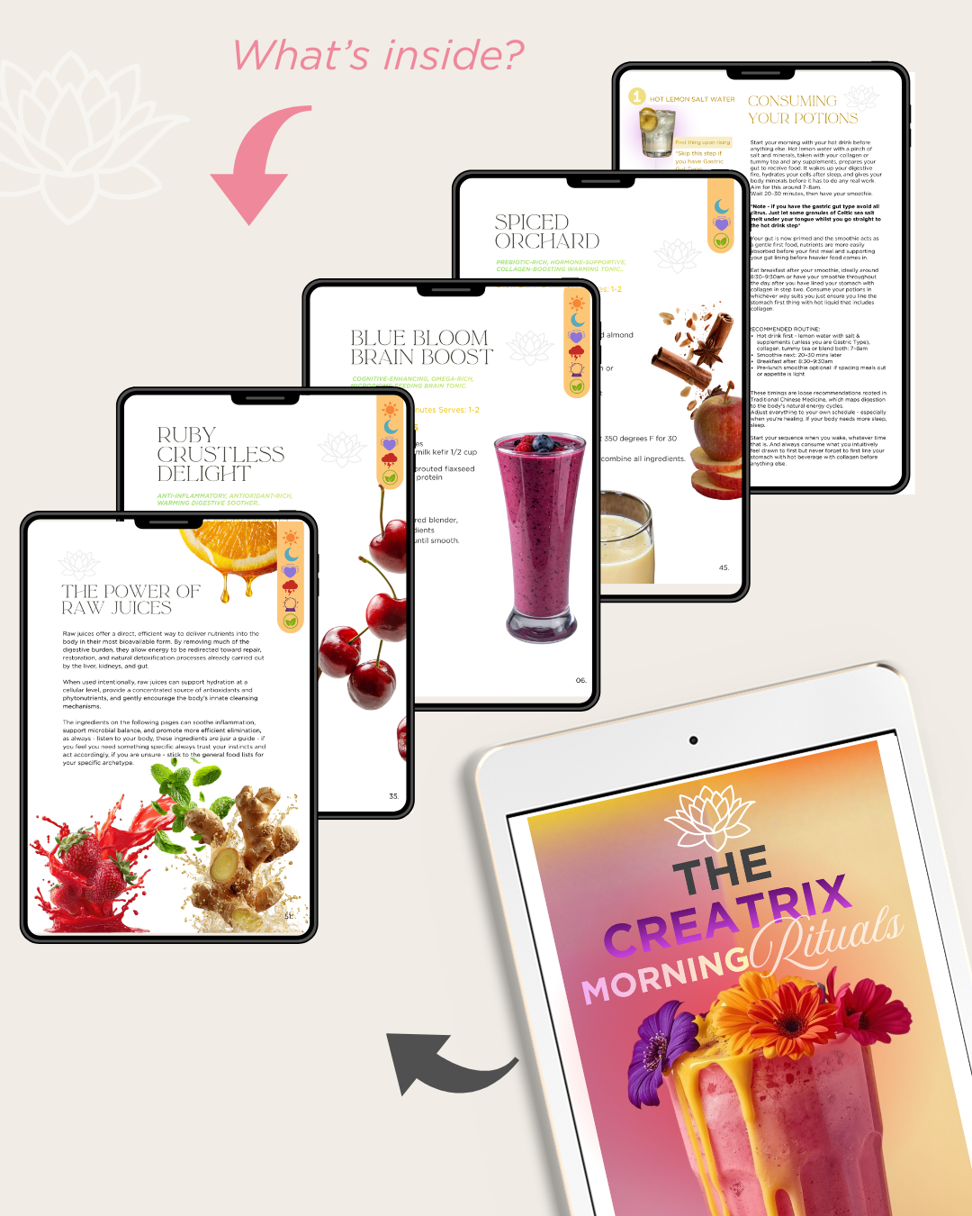 THE CREATRIX STARTER KIT | The physical foundation for reality creation