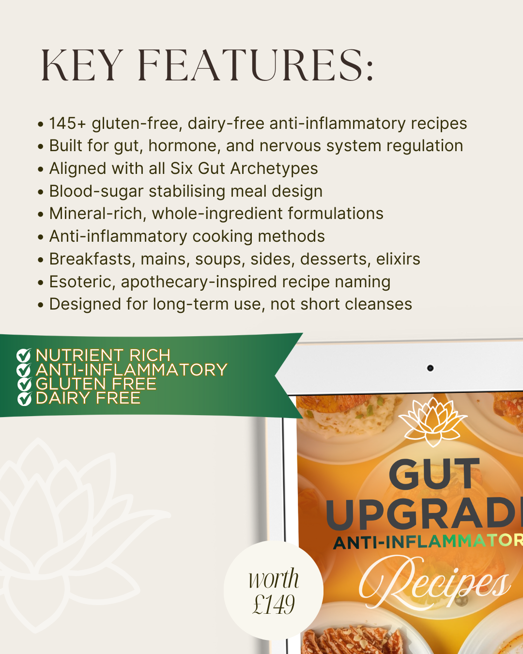 THE ULTIMATE GUT UPGRADE COLLECTION - The Foundational Root for Body & Magnestism