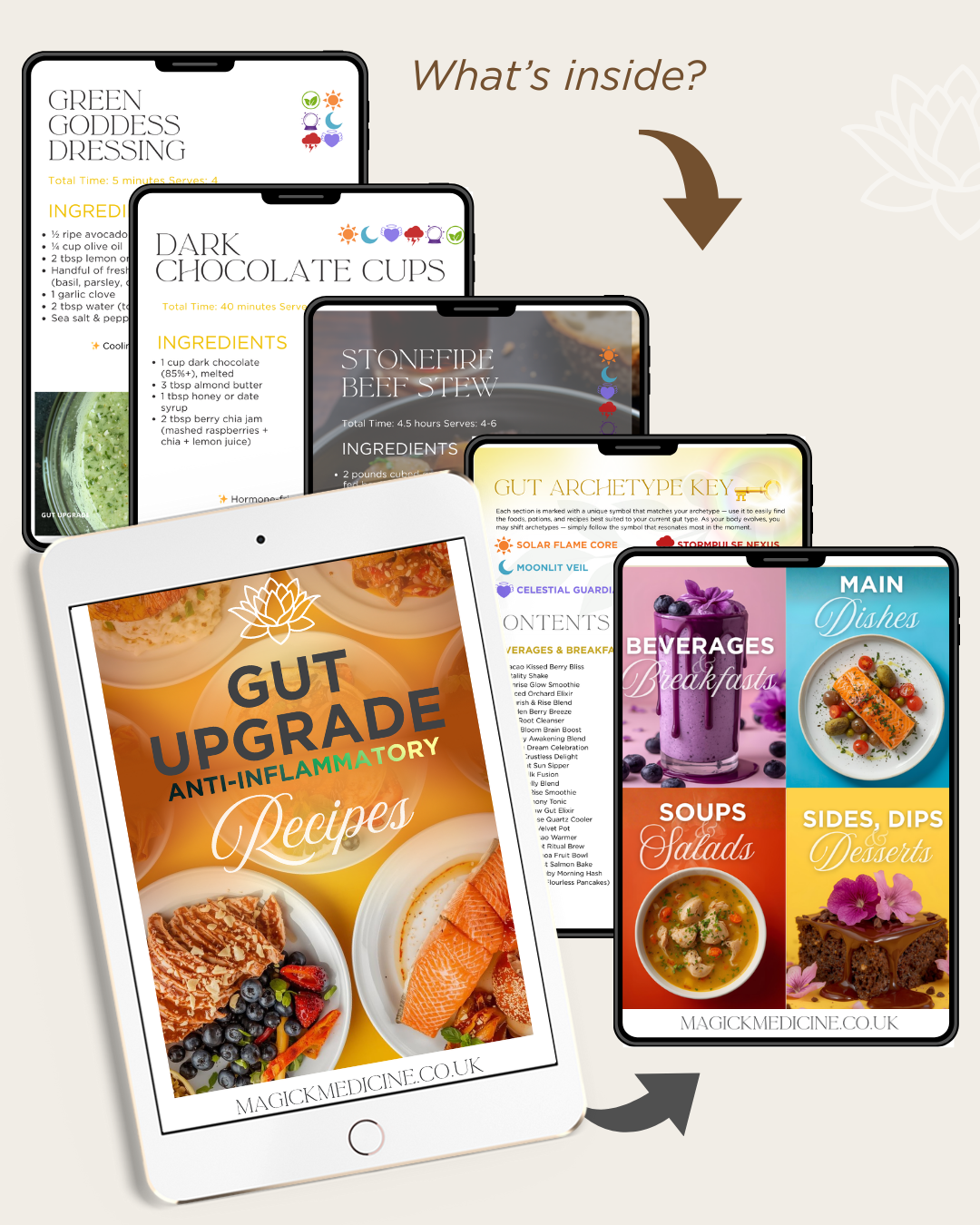 THE ULTIMATE GUT UPGRADE COLLECTION - The Foundational Root for Body & Magnestism