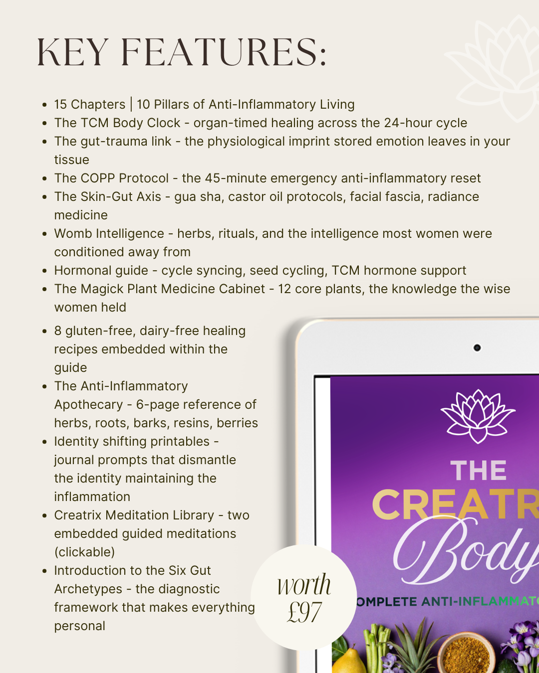 THE CREATRIX BODY | The Creatrix Starter Kit Foundation