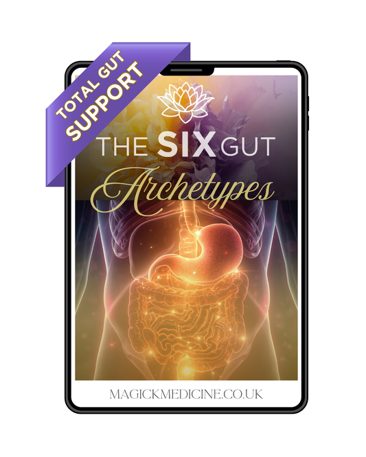DECODE YOUR GUT GUIDE — The 6 Archetypes of Inflammation, Emotion & Balance