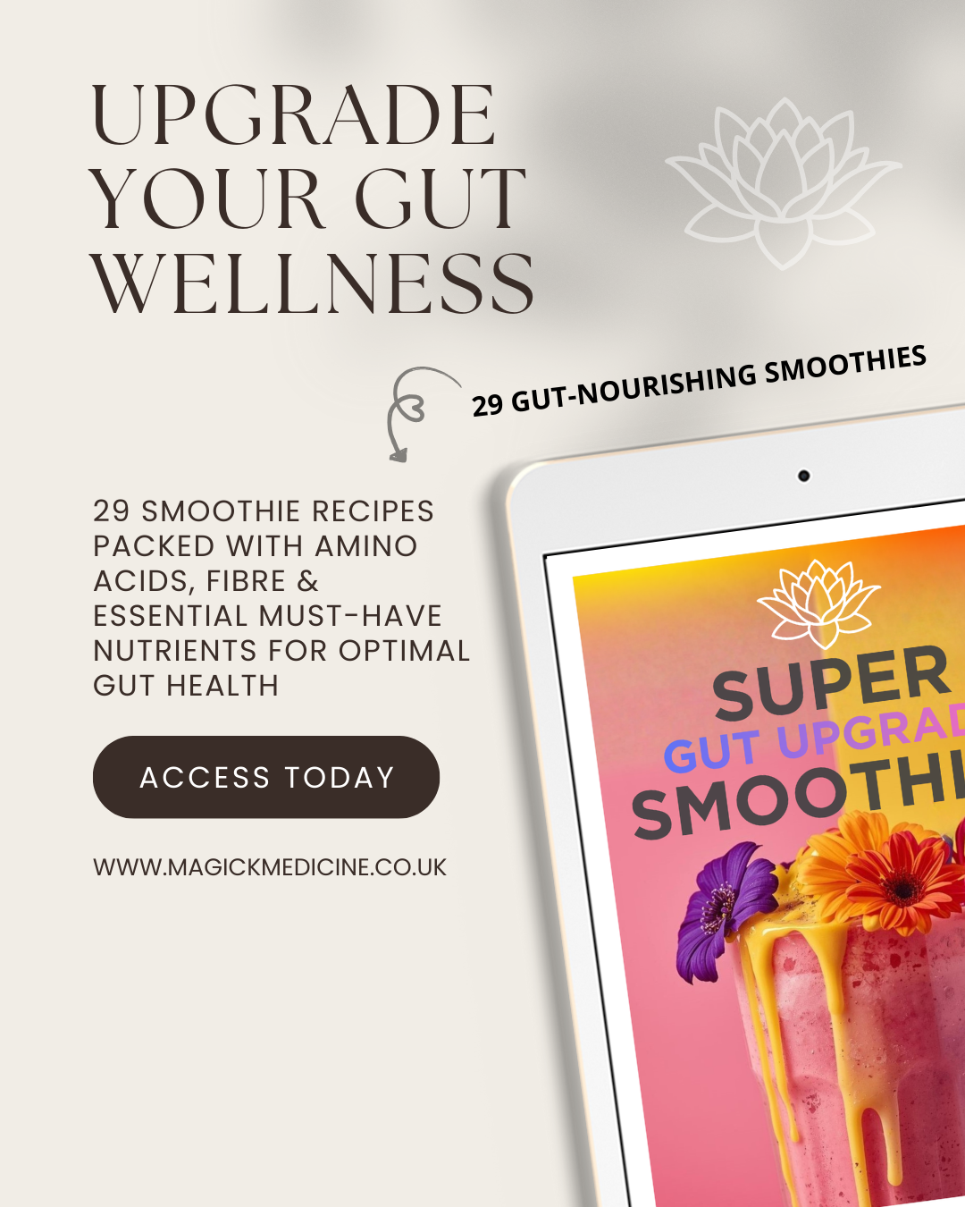 SUPER SMOOTHIES Gut Upgrade Recipe eBook! Level up, Juicing, Active, Workouts, Clean