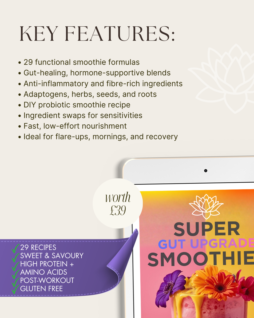 THE ULTIMATE GUT UPGRADE COLLECTION - The Foundational Root for Body & Magnestism