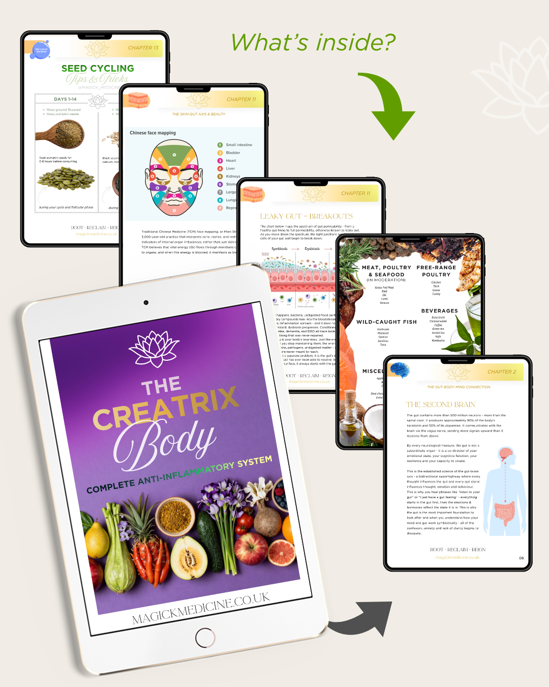 THE CREATRIX BODY | The Creatrix Starter Kit Foundation