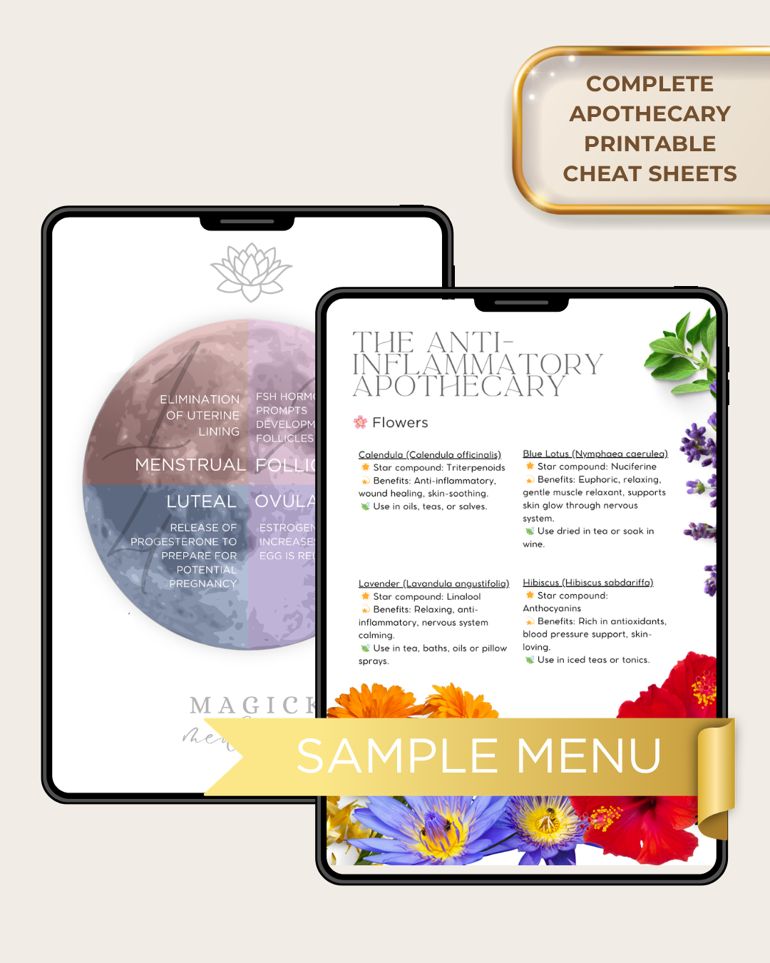 THE CREATRIX BODY | The Creatrix Starter Kit Foundation