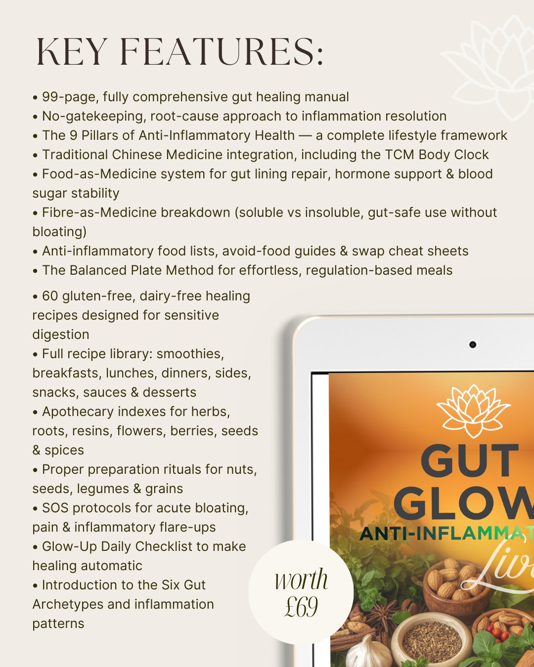 THE ULTIMATE GUT UPGRADE COLLECTION - The Foundational Root for Body & Magnestism