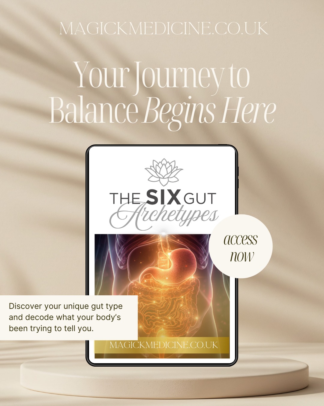 DECODE YOUR GUT GUIDE — The 6 Archetypes of Inflammation, Emotion & Balance