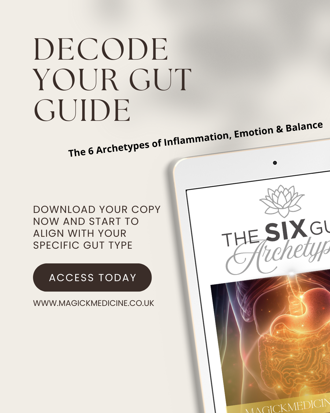 DECODE YOUR GUT GUIDE — The 6 Archetypes of Inflammation, Emotion & Balance