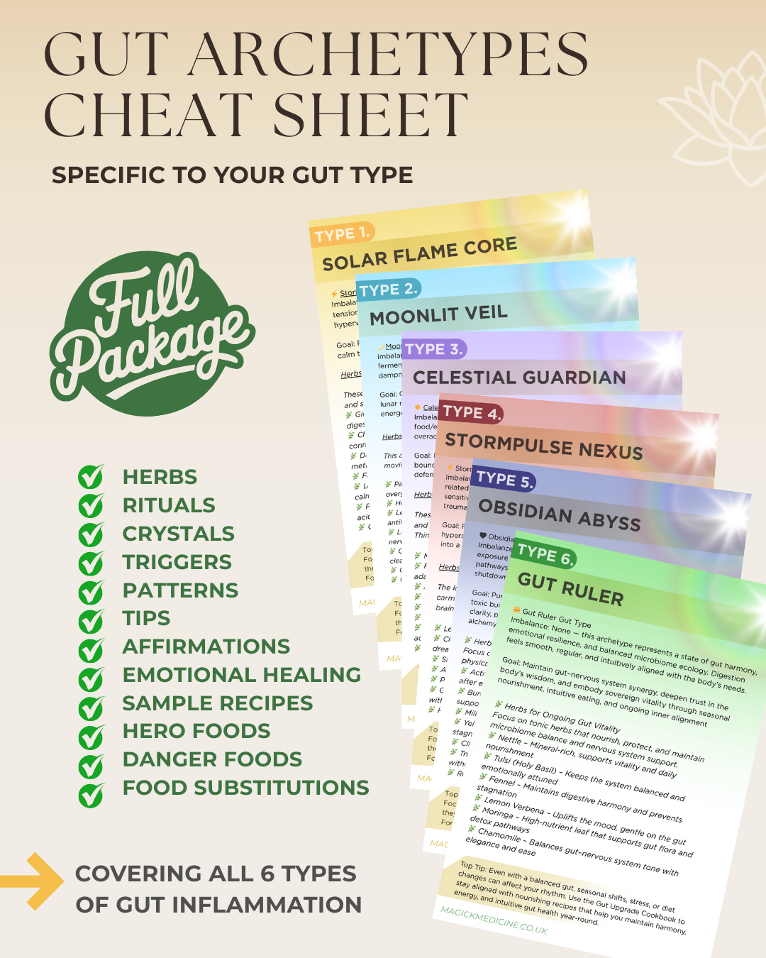 DECODE YOUR GUT GUIDE — The 6 Archetypes of Inflammation, Emotion & Balance