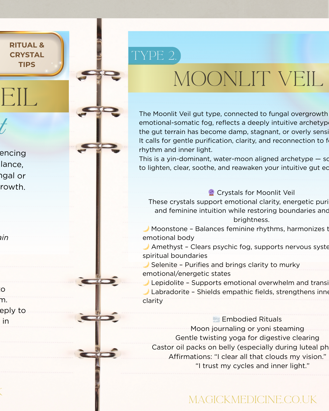 DECODE YOUR GUT GUIDE — The 6 Archetypes of Inflammation, Emotion & Balance