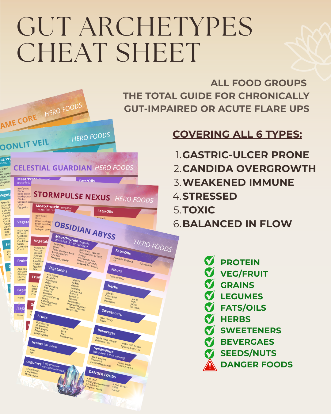 DECODE YOUR GUT GUIDE — The 6 Archetypes of Inflammation, Emotion & Balance
