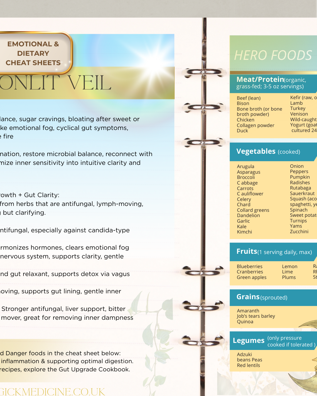 DECODE YOUR GUT GUIDE — The 6 Archetypes of Inflammation, Emotion & Balance