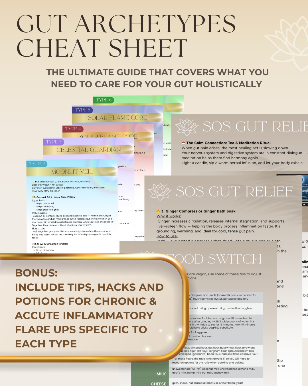 DECODE YOUR GUT GUIDE — The 6 Archetypes of Inflammation, Emotion & Balance
