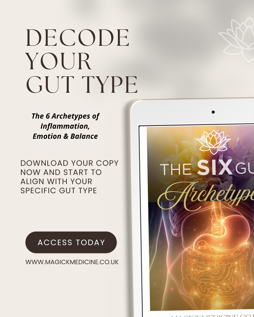 THE SIX GUT ARCHETYPES GUIDE | The Creatrix Starter Kit - Step 2