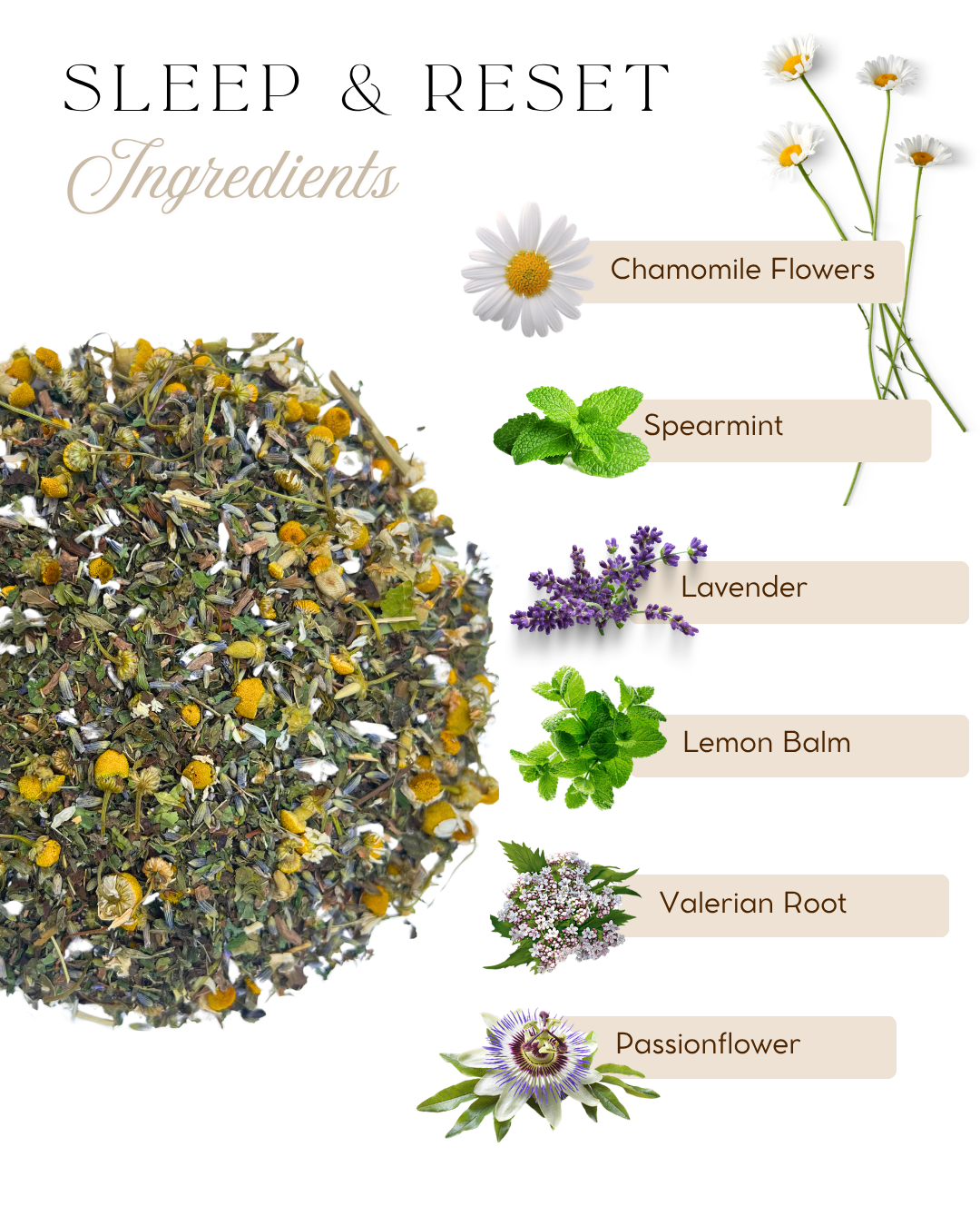 Ingredients for Sleep & Reset: spearmint, lemon balm, chamomile, lavender, valerian root and passionflower