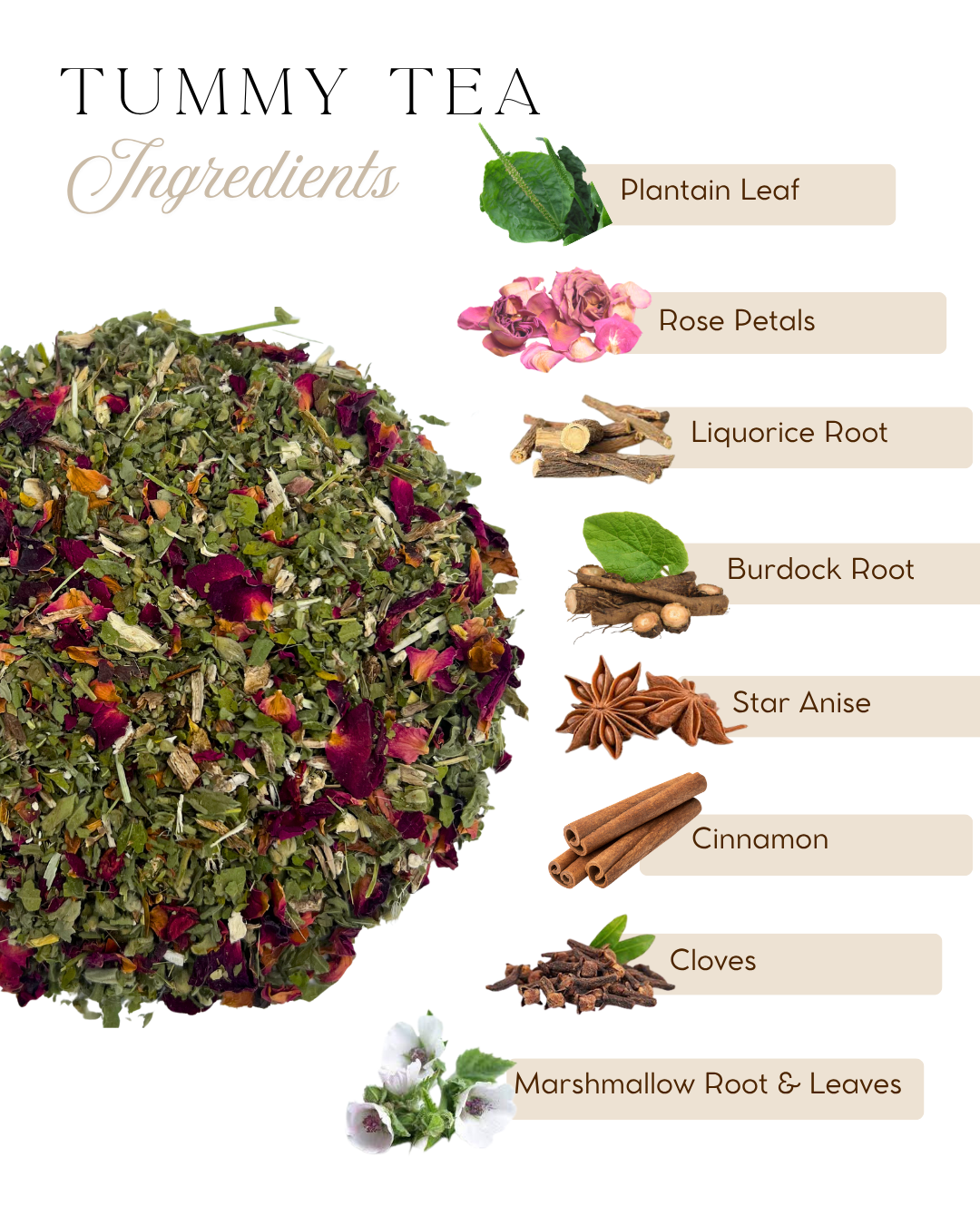 Ingredients for Tummy Tea: marshmallow root and leaf, plantain leaf, rose, liquorice root, burdock root, cinnamon, anise and cloves
