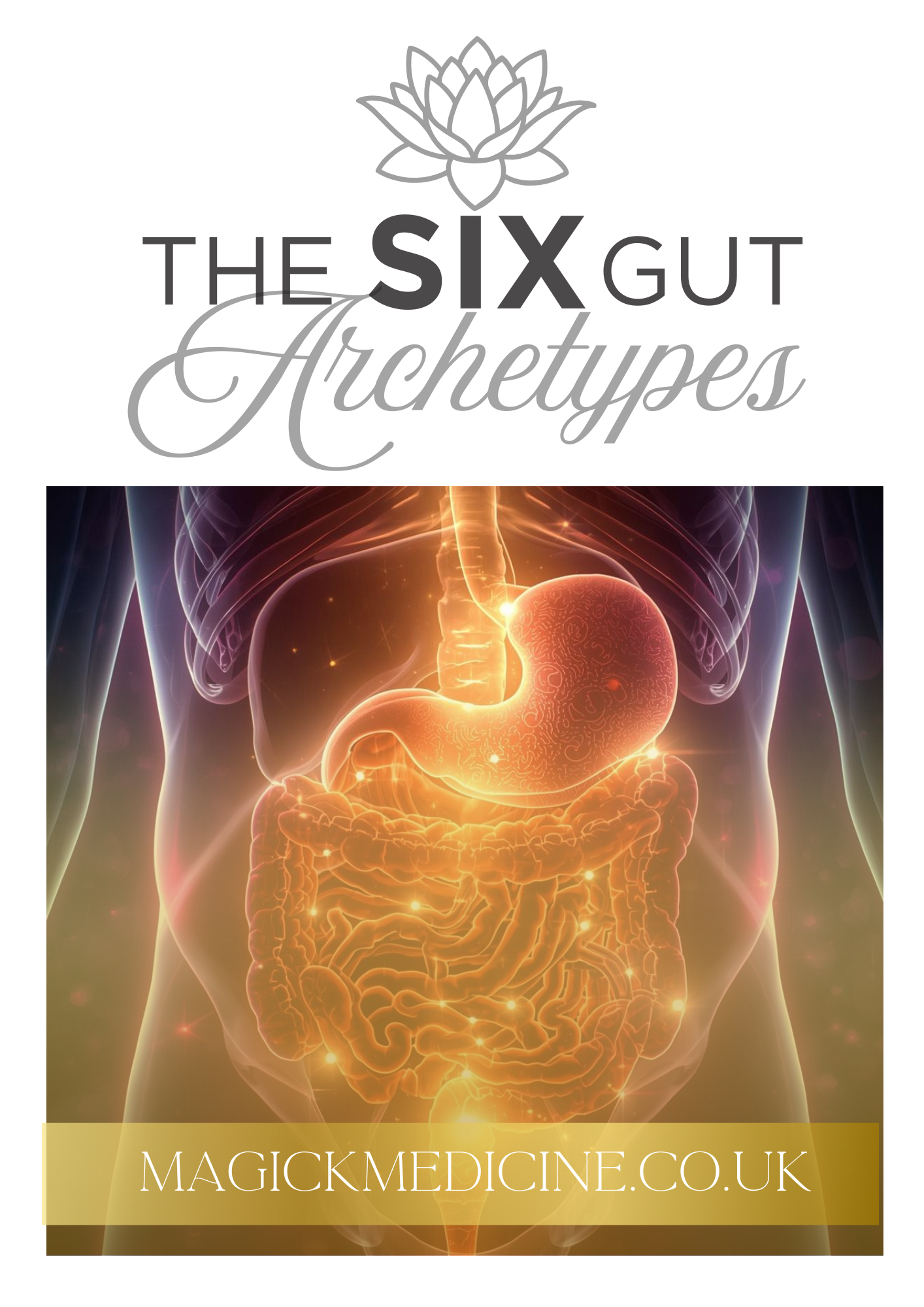 DECODE YOUR GUT GUIDE — The 6 Archetypes of Inflammation, Emotion & Balance