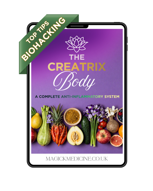 THE CREATRIX BODY | The Creatrix Starter Kit Foundation
