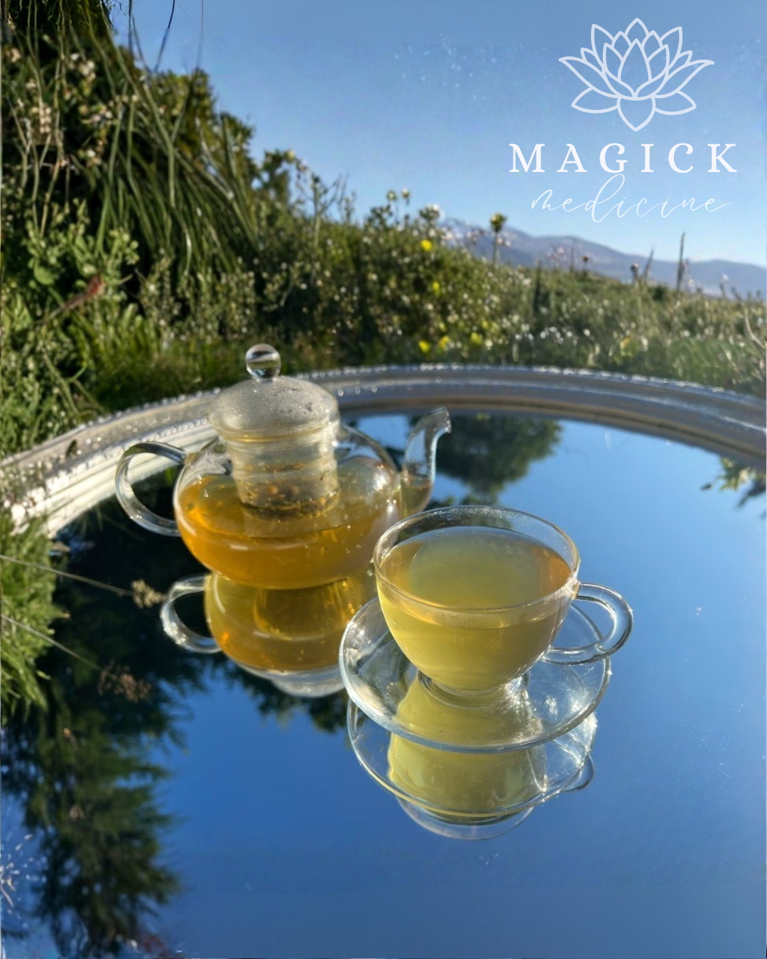 Tummy Tea brewed in a glass teapot and cup, showing its warm golden amber colour