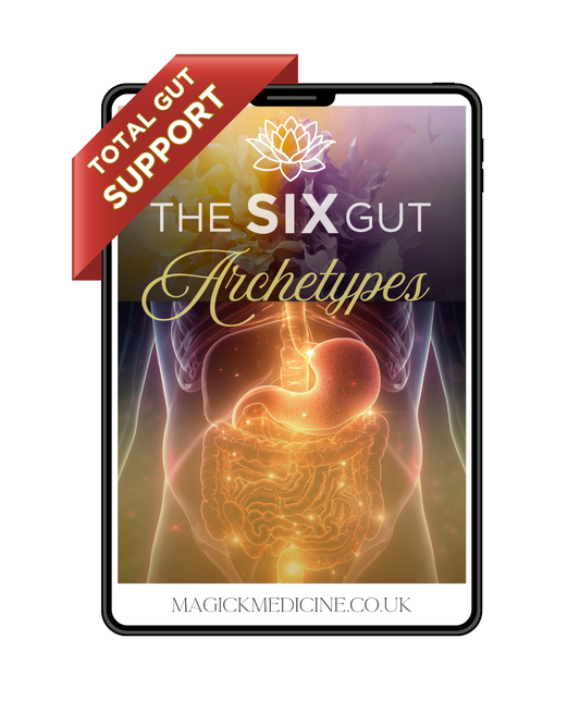THE SIX GUT ARCHETYPES GUIDE | The Creatrix Starter Kit - Step 2