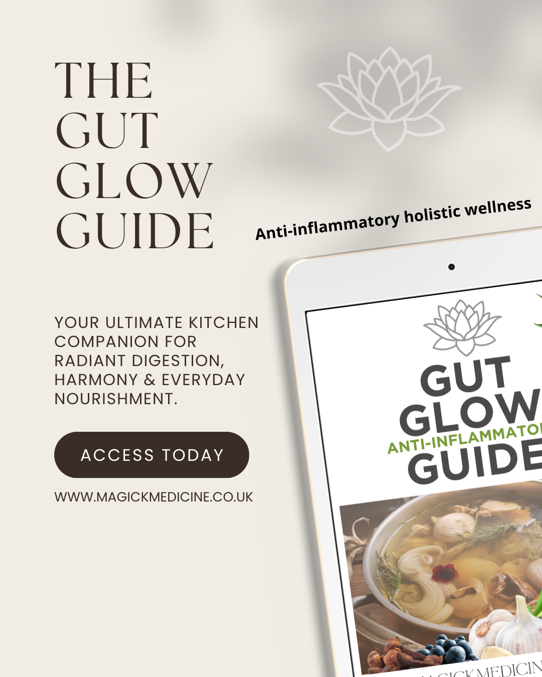 GUT GLOW GUIDE! Anti-Bloat Foods, Soulful Staples, Grounding Recipes, Real Radiance