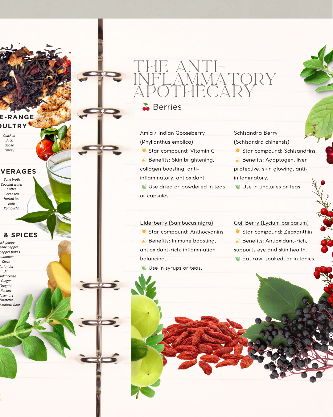 GUT GLOW GUIDE! Anti-Bloat Foods, Soulful Staples, Grounding Recipes, Real Radiance