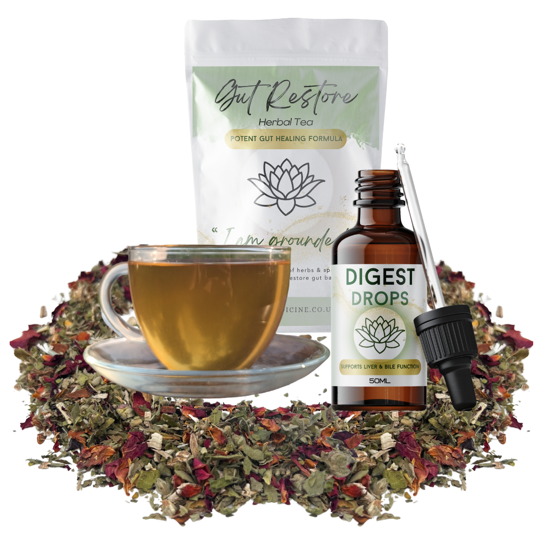 GUT BUDDIES Tea & Tincture Bundle