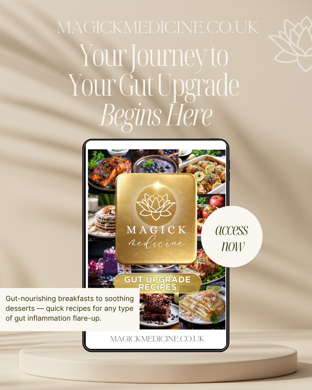 GUT UPGRADE RECIPES - Cook Book for Your Gut Archetype!