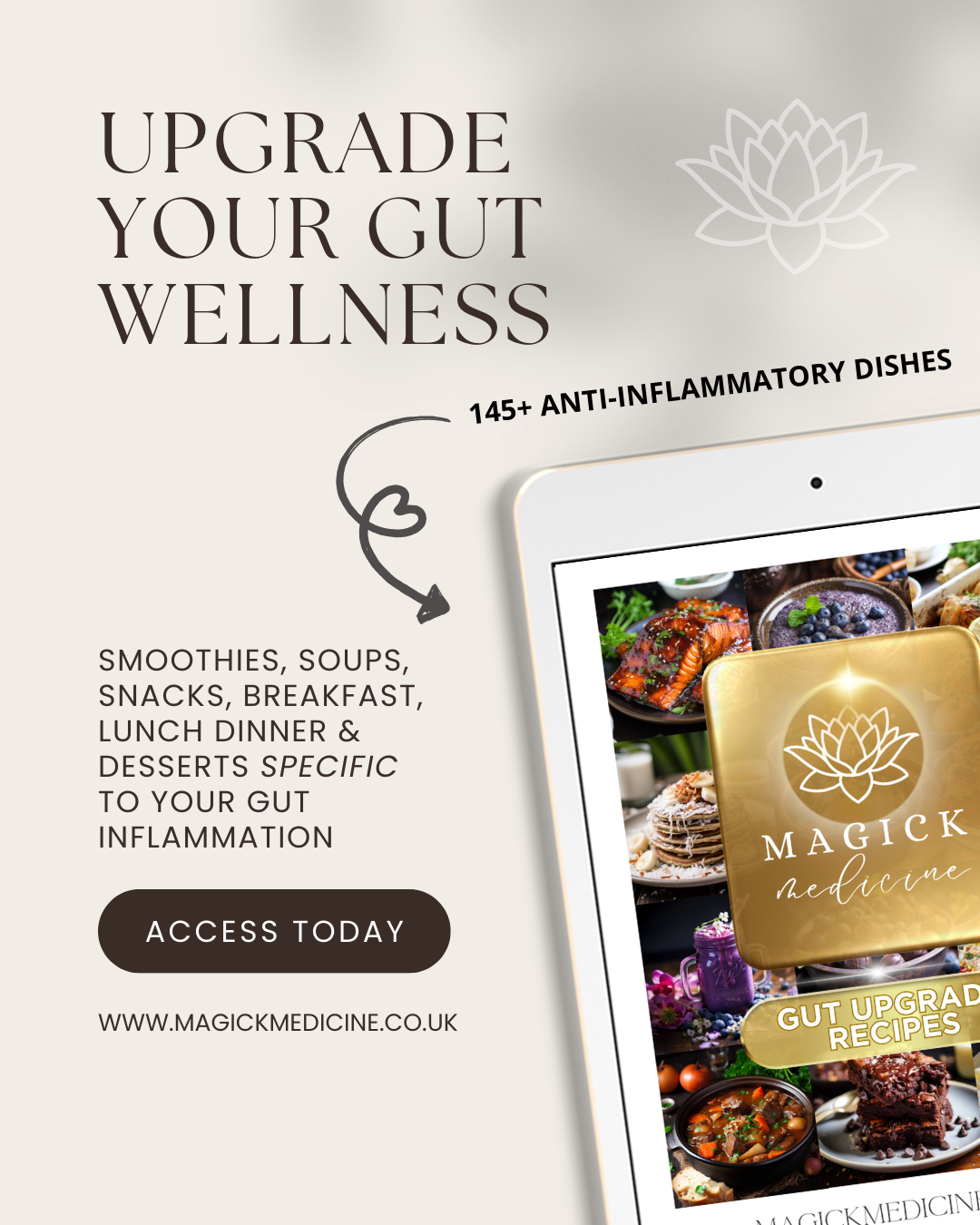 GUT UPGRADE RECIPES - Cook Book for Your Gut Archetype!